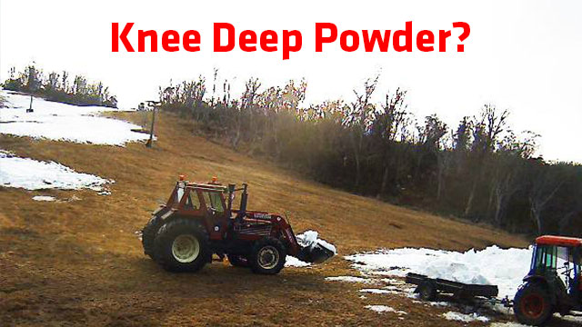 Knee Deep Powder?
